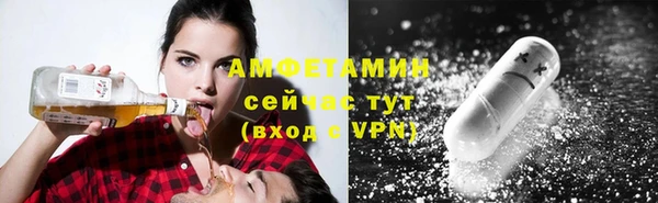 apvp Алзамай