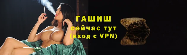 apvp Алзамай