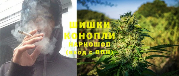 apvp Алзамай