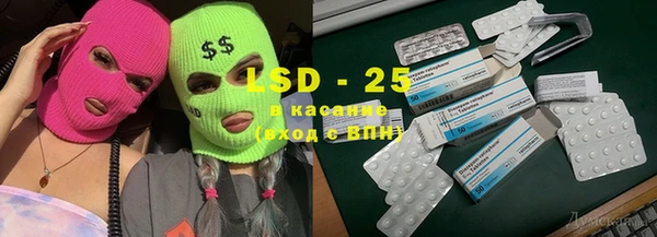 apvp Алзамай